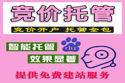竞价广告如何助力XX企业实现业绩增长